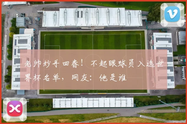 老帅妙手回春！不起眼球员入选世界杯名单，网友：他是谁